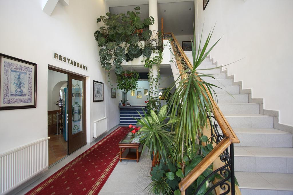 Hotel Ruia Poiana Brașov Zewnętrze zdjęcie