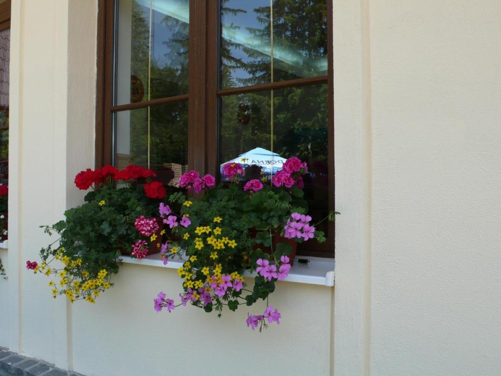 Hotel Ruia Poiana Brașov Zewnętrze zdjęcie